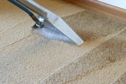 Industrial steam carpet cleaner on beige carpet being used for carpet cleaning in northampton